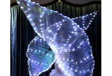 Load image into Gallery viewer, 1. **Belly Dance Costume with Lights** 2. **Light Up Angel Belly Dance Attire** 3. **Special Effect Dance Costume for Performers

