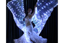 गैलरी व्यूवर में इमेज लोड करें, Ezlibell-Belly Dance Light bright Angel Special effect- 360 degree wings-25 days shipping
